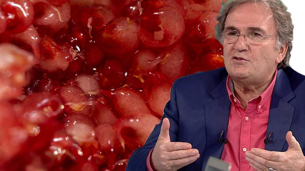 Dnyann D vitamini rezervi bu meyvede! Unutkanl yok ediyor! brahim Saraolu neriyor