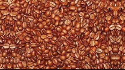 Zeka testi: ekirdeklerin iindeki 3 bebei kahve tiryakileri bile bulamad! 171 kiiden 11'i grd