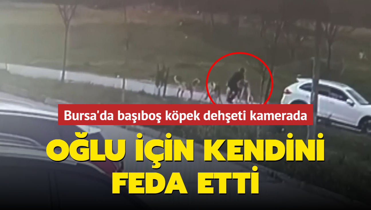 Bursa'da babo kpek deheti kamerada: 30 diki atld, 1 buuk ay pipetle beslenecek