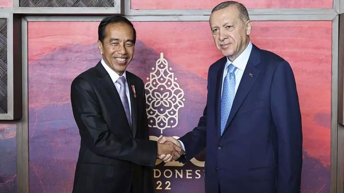 Bakan Erdoan, Endonezya Cumhurbakan Widodo ile grt