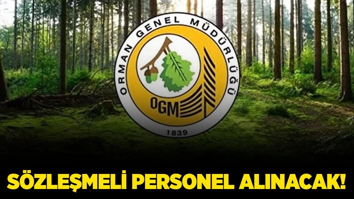Orman Genel Mdrl 124 Szlemeli Personel alacak!