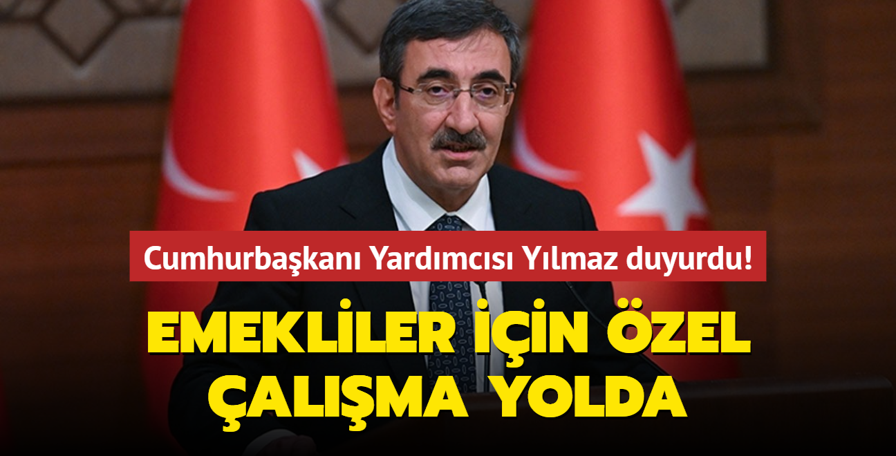 Cumhurbakan Yardmcs Cevdet Ylmaz duyurdu! Emekliler iin zel alma yolda