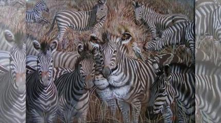 Kiilik testi! Resimde ilk hangi hayvan grdn? Aslan grenlerle zebra grenler arasndaki fark...