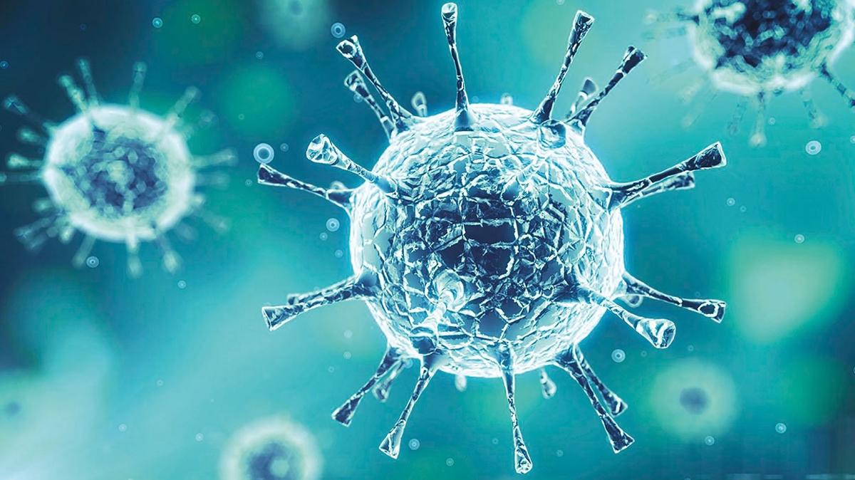 Bilim insanlar uyard! Gelecein pandemisi grip