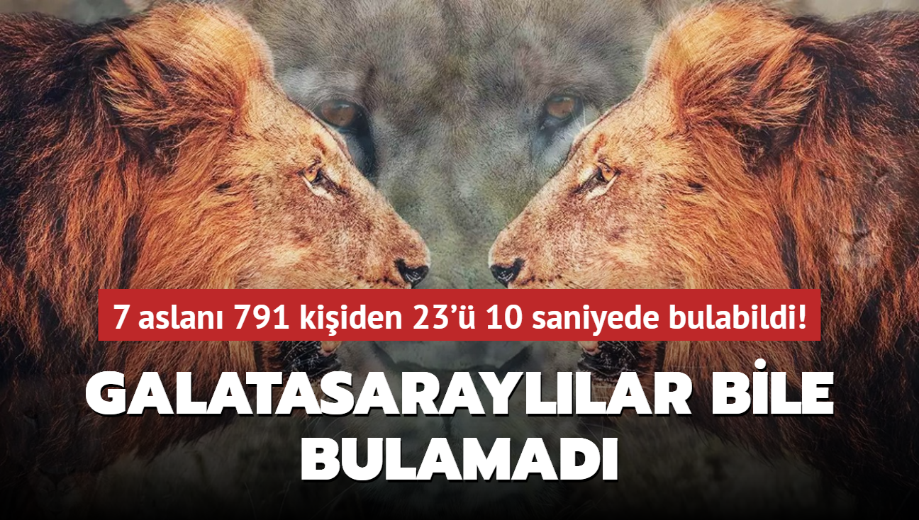 Zeka testi: Galatasarayllar bile 10 saniyede bulamad! 7 aslan nerede" 791 kiiden 23' bulabildi