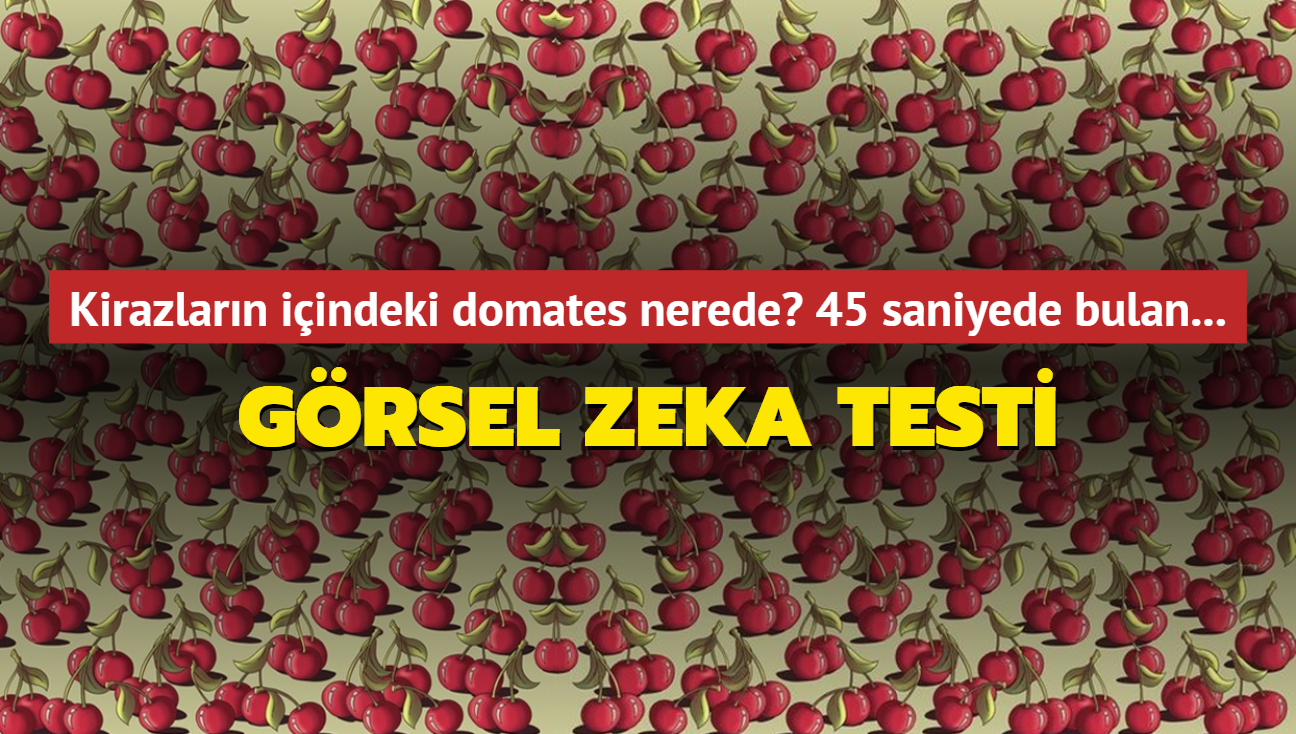 Grsel zeka testi! Kirazlarn iindeki domates nerede" Bulan says ok az