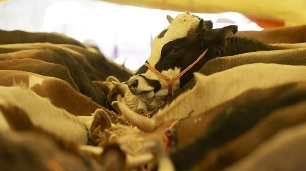 Kurban Bayram tatili ka gn olacak" Bayram tatili ne zaman"