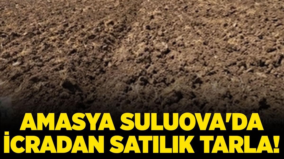 Amasya Suluova'da icradan satlk tarla!