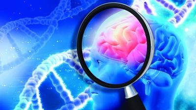 Alzheimer ve Parkinson'a kar 5 sava besin