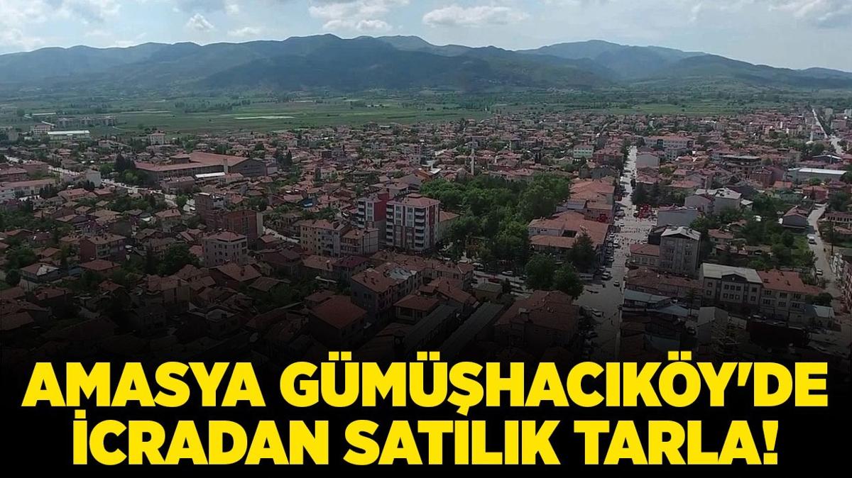 Amasya Gmhacky'de icradan satlk tarla!