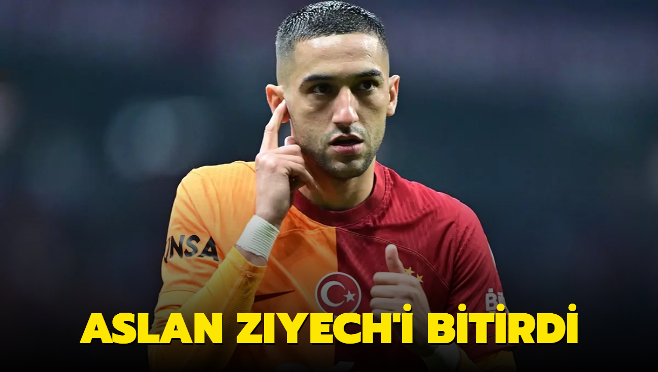 Aslan Ziyech'i bitirdi