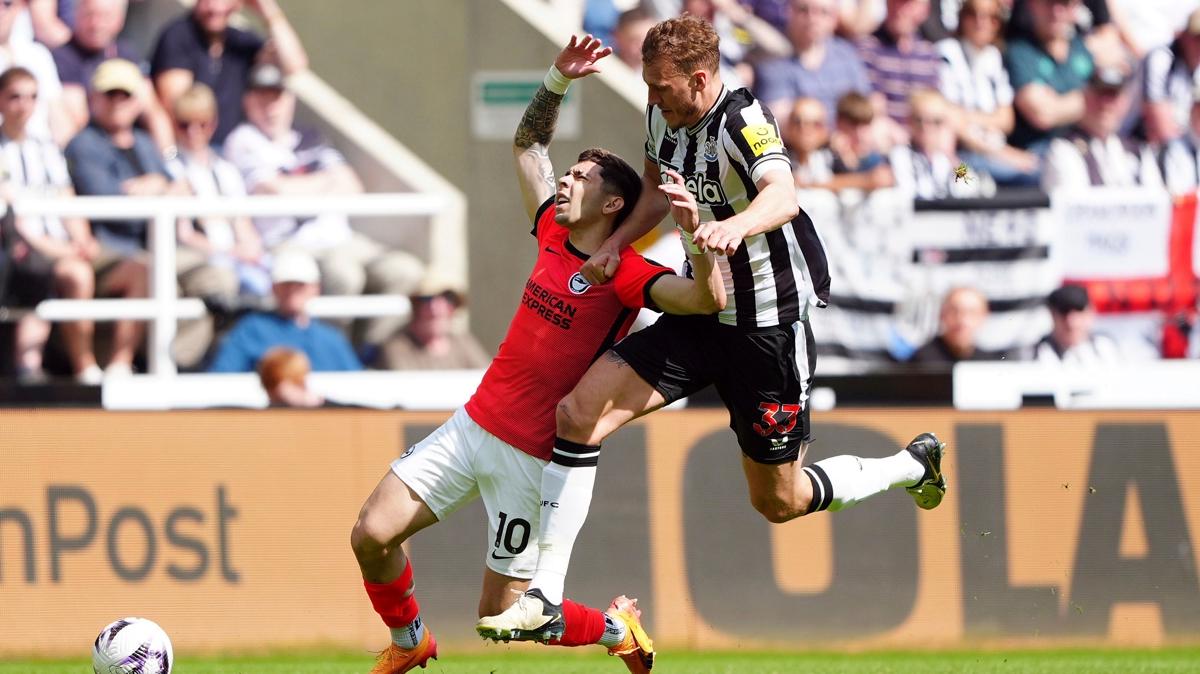 newcastle united brighton premier lig fotoraflar resimleri