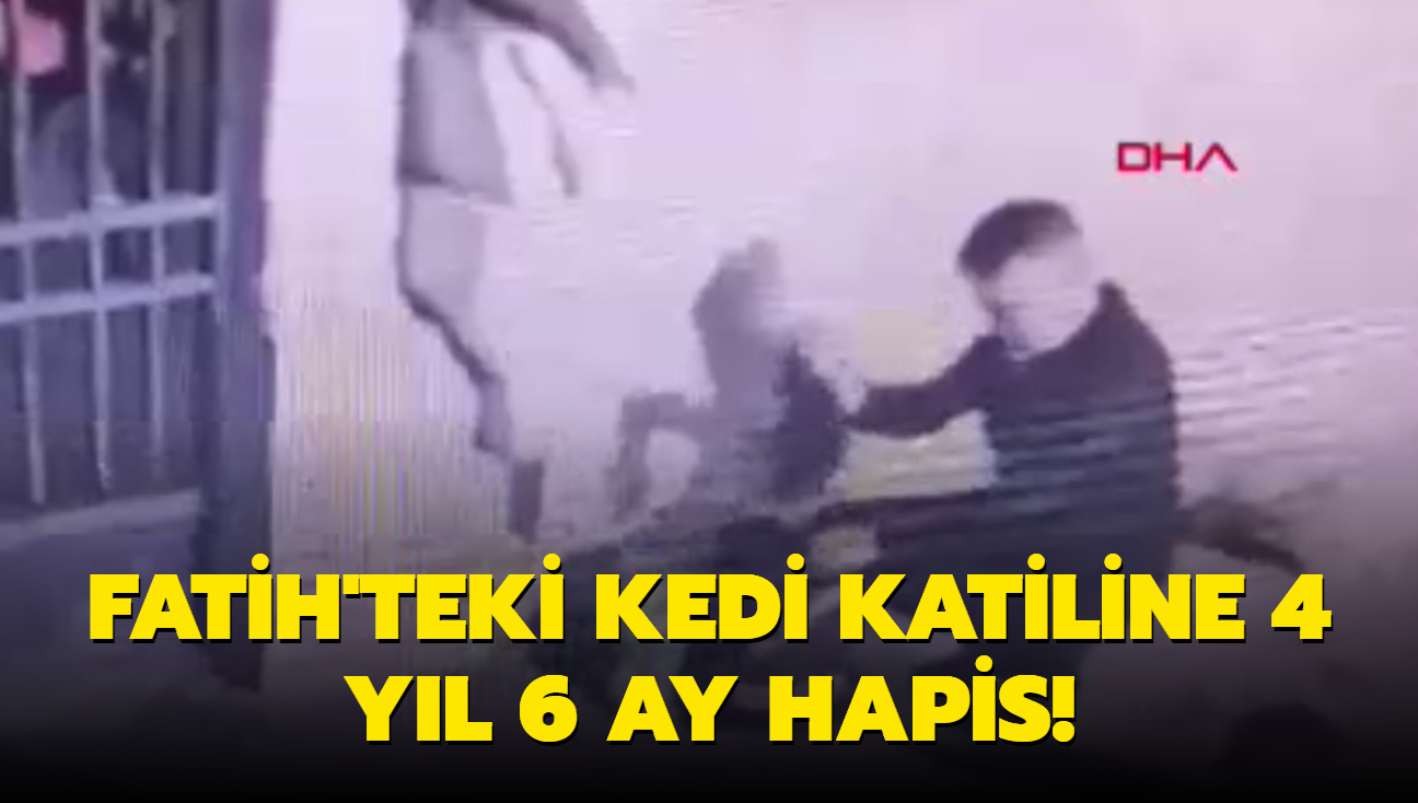 Fatih'teki kedi katiline 4 yl 6 ay hapis!