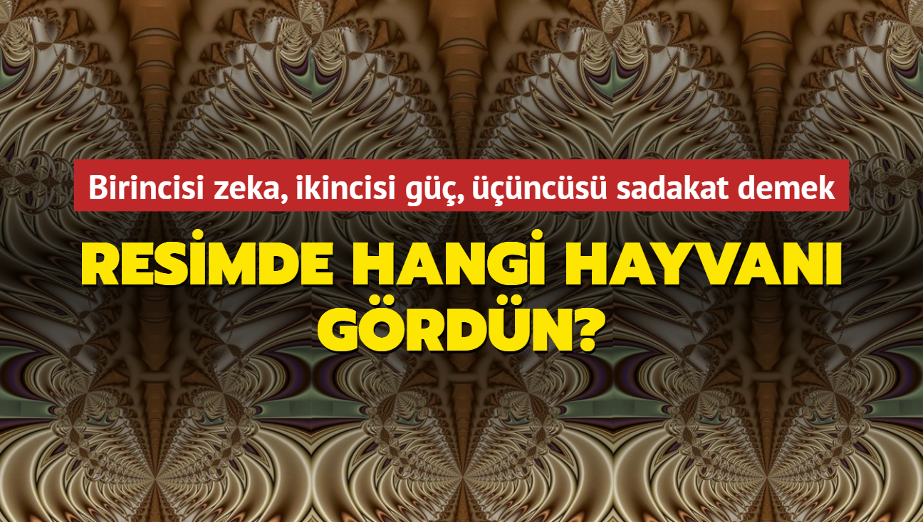 Kiilik testi! Resimde hangi hayvan grdn" Birincisi zeka, ikincisi g, ncs...