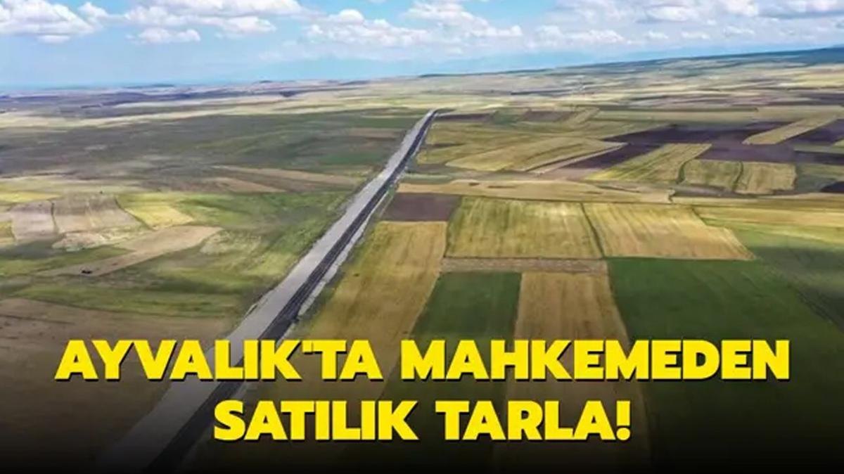 Ayvalk'ta mahkemeden satlk tarla!