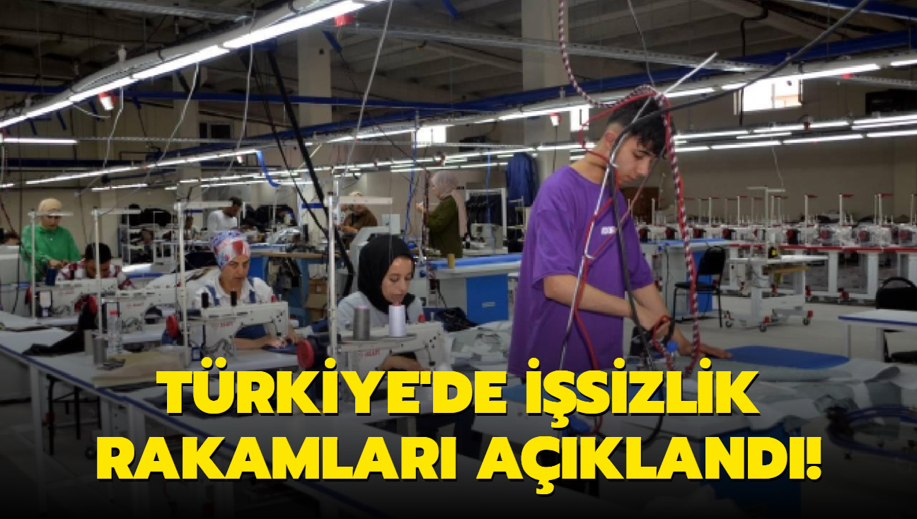 Trkiye'de isizlik rakamlar akland!