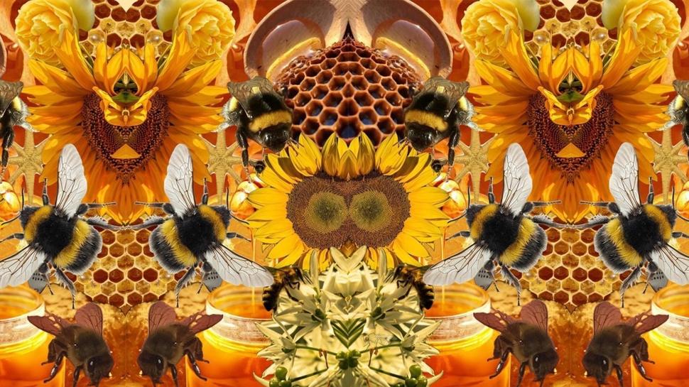 Kişilik testi: Arıların arasındaki gizli sinek nerede? 5 saniyede 753 kişiden 17'si bulabildi