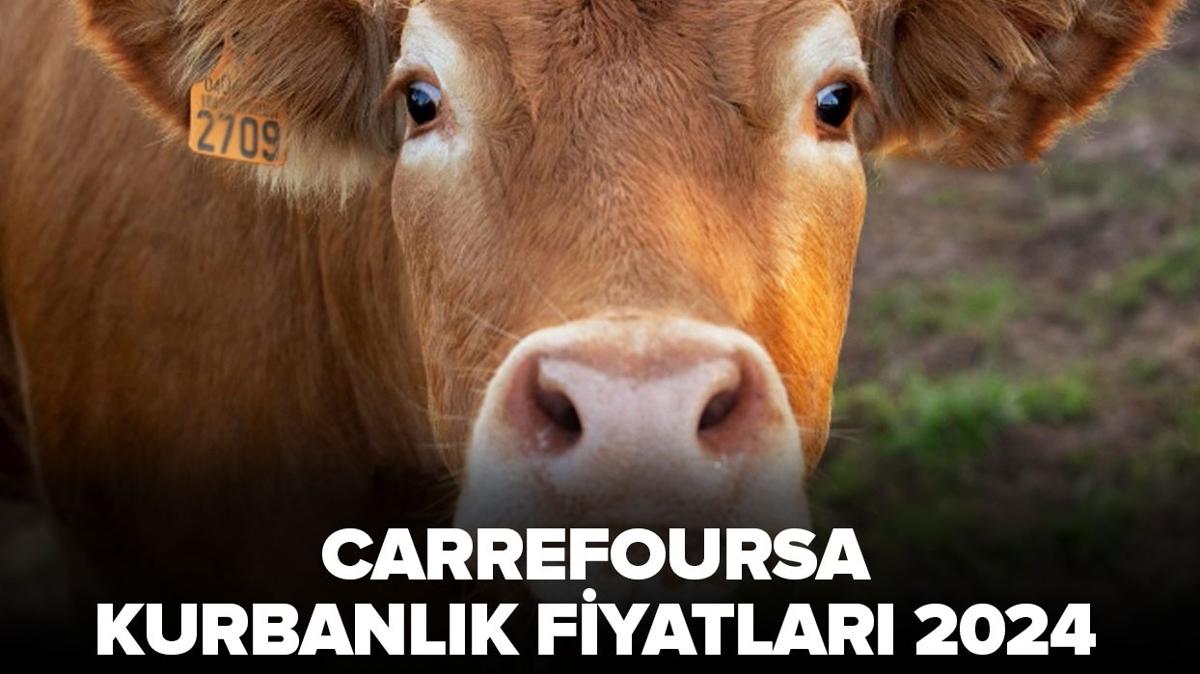 Carrefour kkba ve bykba kurbanlk fiyatlar ne kadar" Carrefour kurbanlk fiyatlar 2024