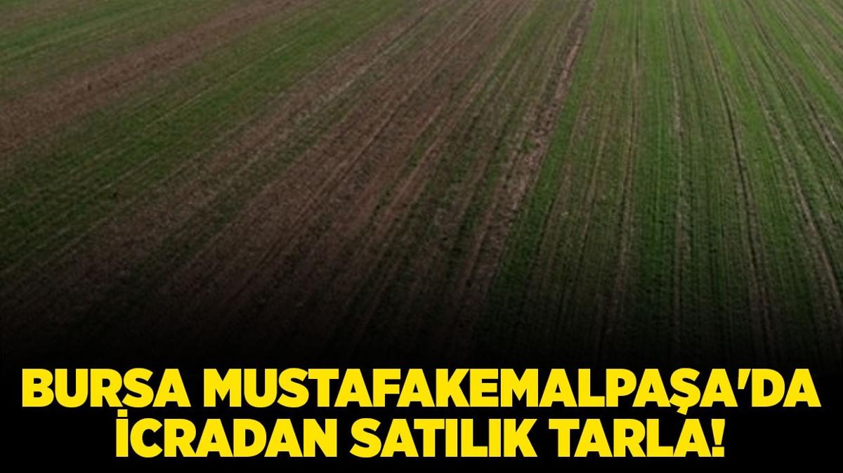 Bursa Mustafakemalpaa'da icradan satlk tarla!