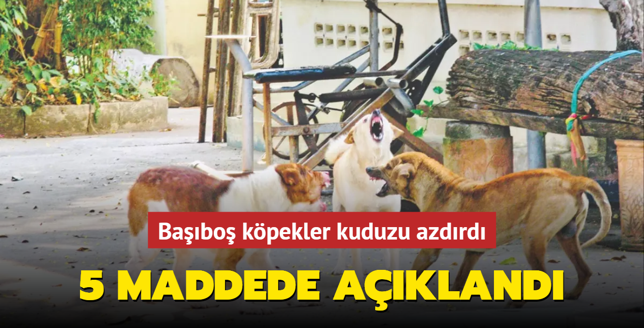 Babo kpekler kuduzu azdrd