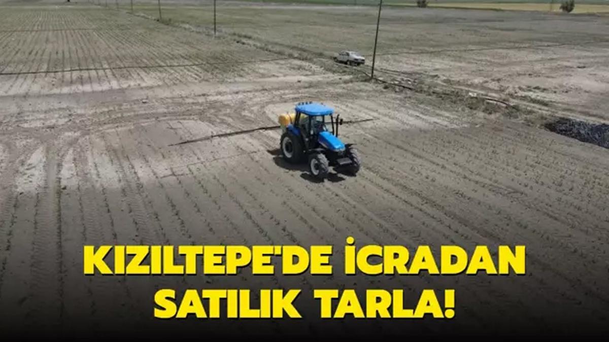 Kzltepe'de icradan satlk tarla!