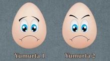 Kiilik testi: Stresli yumurtay se, sonucu ren! Duygusal zeka yapn ortaya kyor...