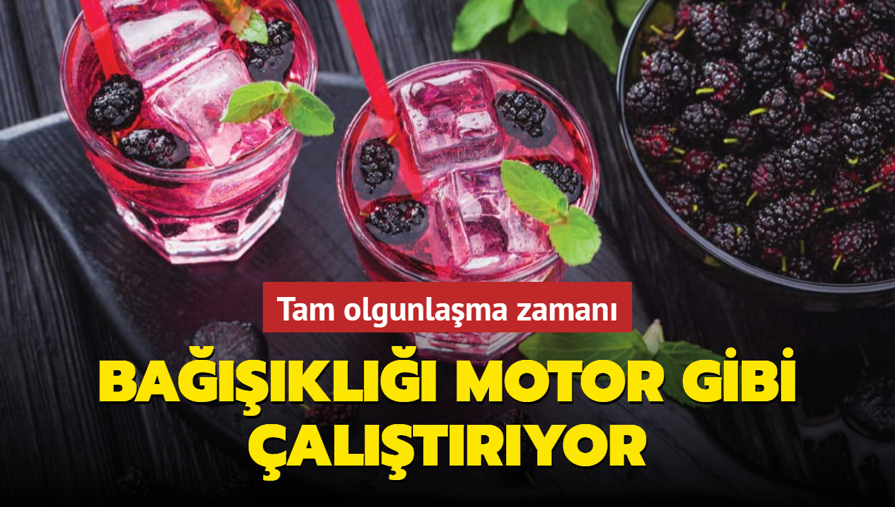 Tam olgunlama zaman, kaslar elik, bakl motor yapyor! Yourtla tketin