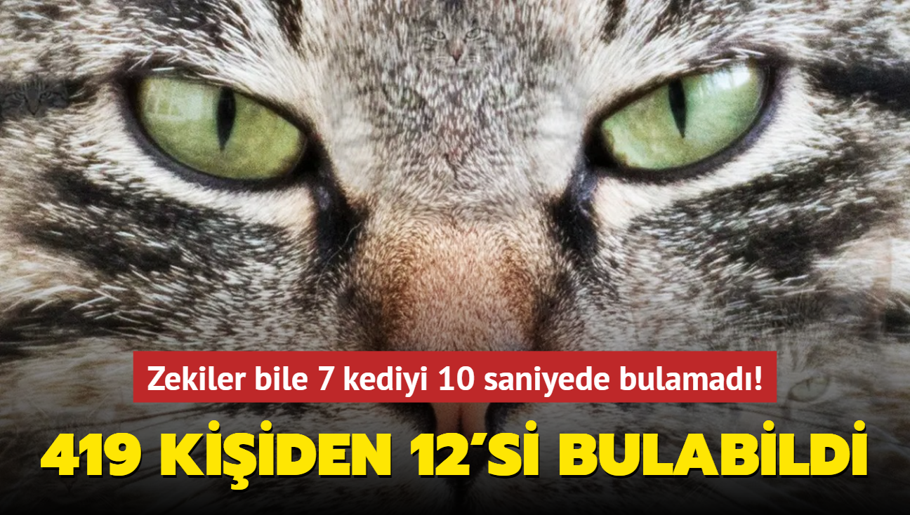 Zeka testi: 419 kiiden 12'si bulabildi! Zekiler bile 7 kediyi 10 saniyede bulamad...