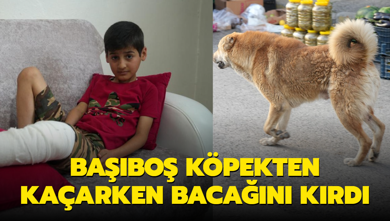 Babo kpekten kaarken bacan krd