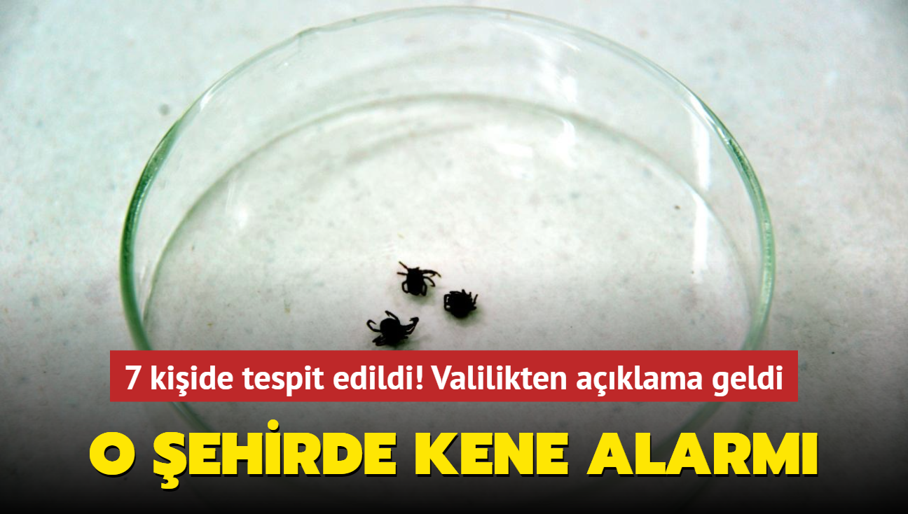 Giresun'da kene alarm! 7 kiide tespit edildi!