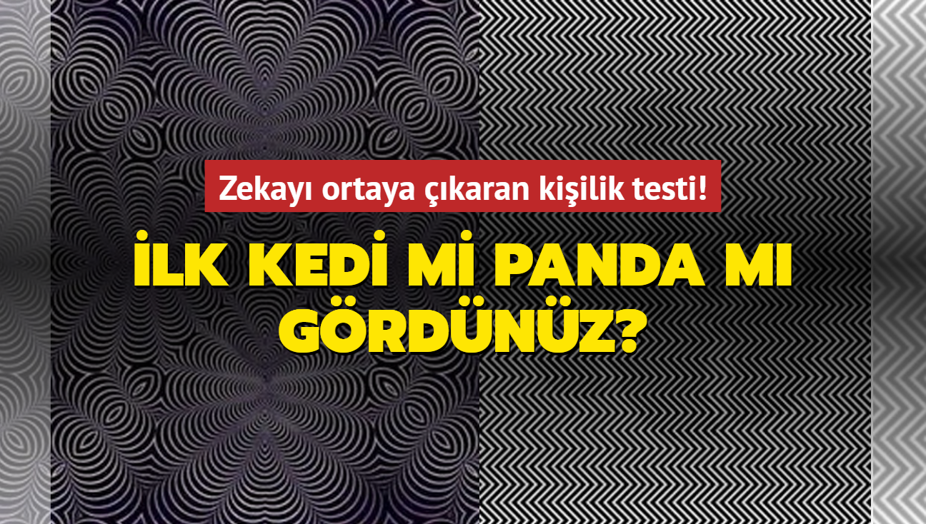 Kedi mi panda m grdnz" Kiilik testi zekanz ve karakterinizi ortaya karyor