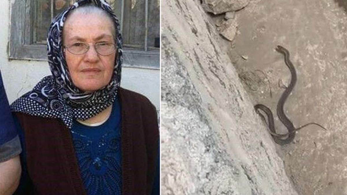 Bahede ylan deheti! Yal kadn feci ekilde can verdi