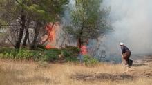 Gaziantep'te orman yangn: 10 hektarlk alan zarar grd