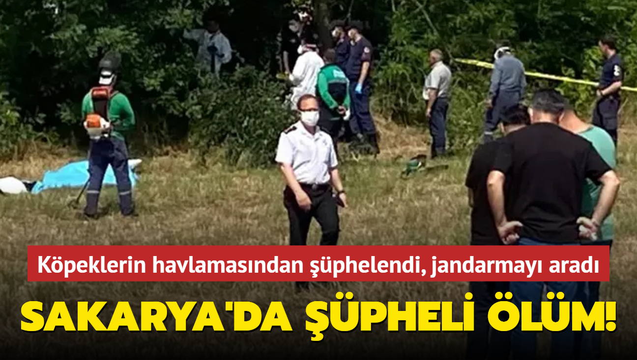 Kpeklerin havlamasndan phelendi, jandarmay arad... Sakarya'da pheli lm!