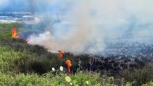 Antalya'da orman yangn: Ekipler mdahale ediyor