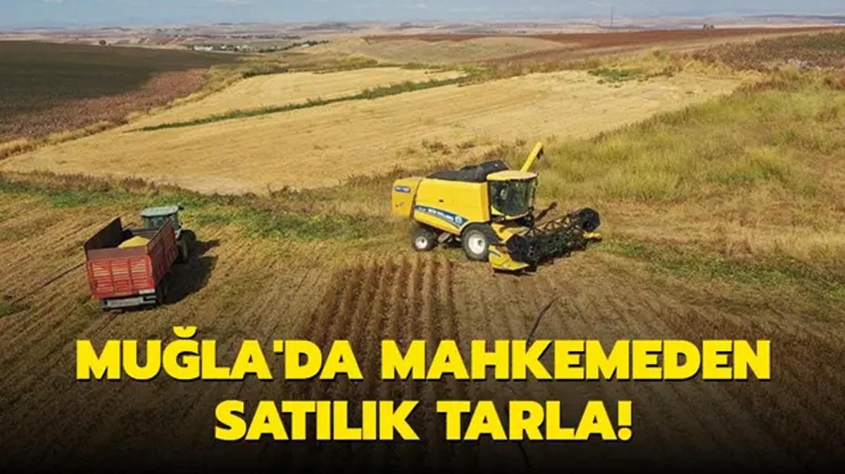 Seydikemer'de mahkemeden satlk tarla!