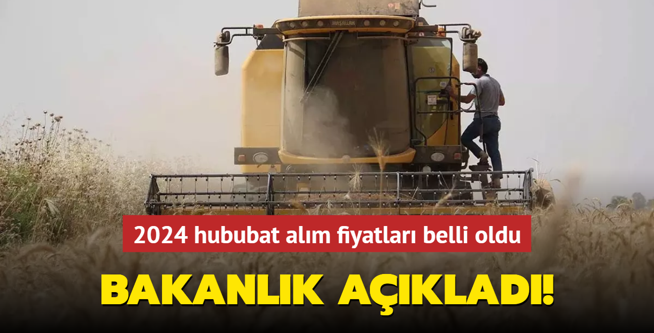 Bakanlk aklad! 2024 hububat alm fiyatlar belli oldu