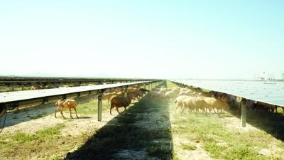 Kalyon Karap�nar GES'e BM'den tam not