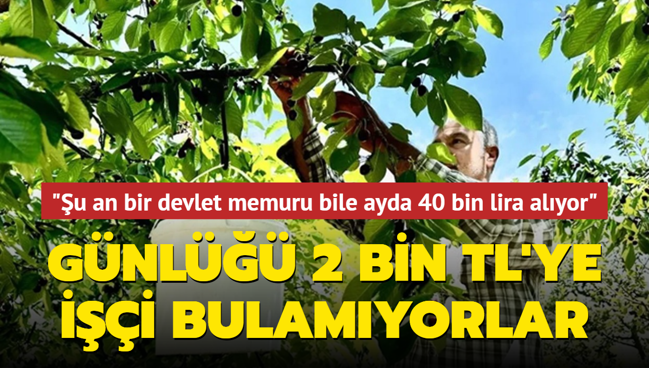 Gnl 2 bin TL'ye ii bulamyorlar: u an bir devlet memuru bile ayda 40 bin TL alyor