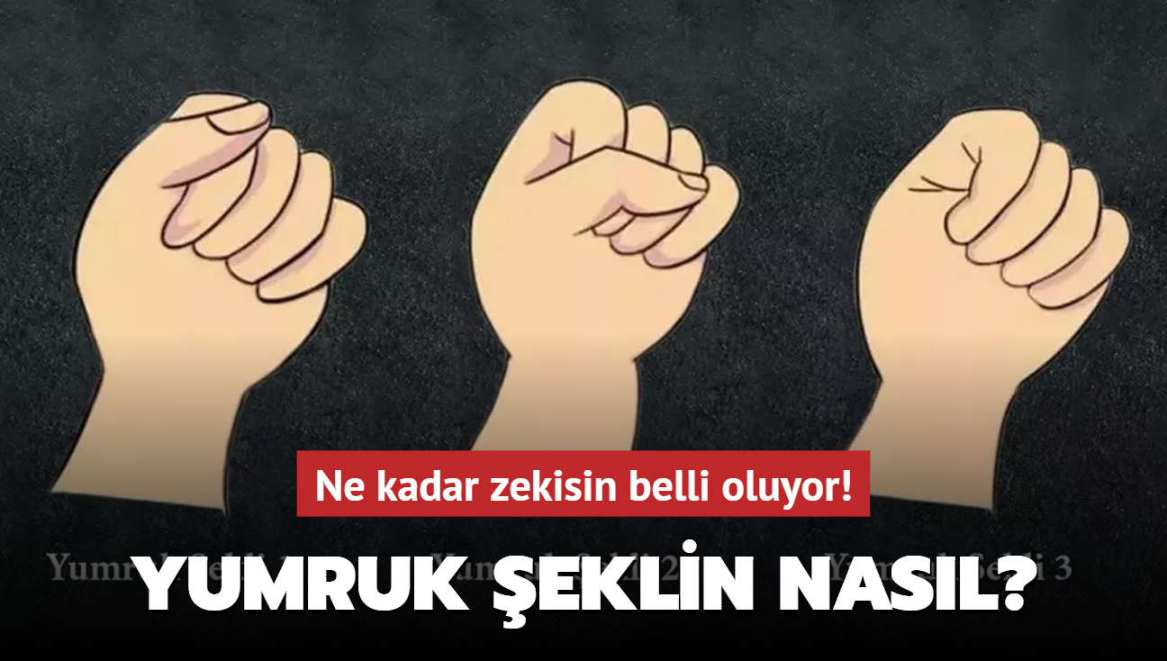 Kiilik testi: Yumruk eklin nasl" Ne kadar zekisin belli oluyor...