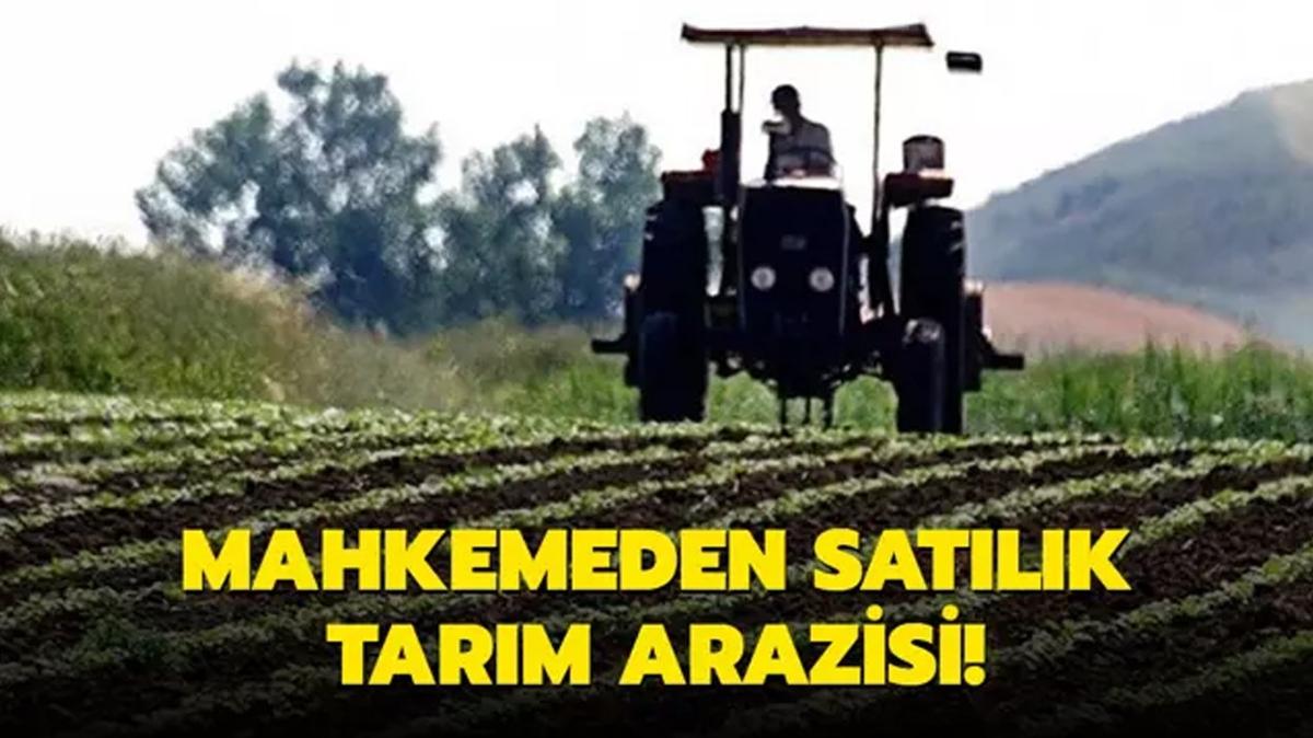 Bandrma'da mahkemeden satlk tarm arazisi!