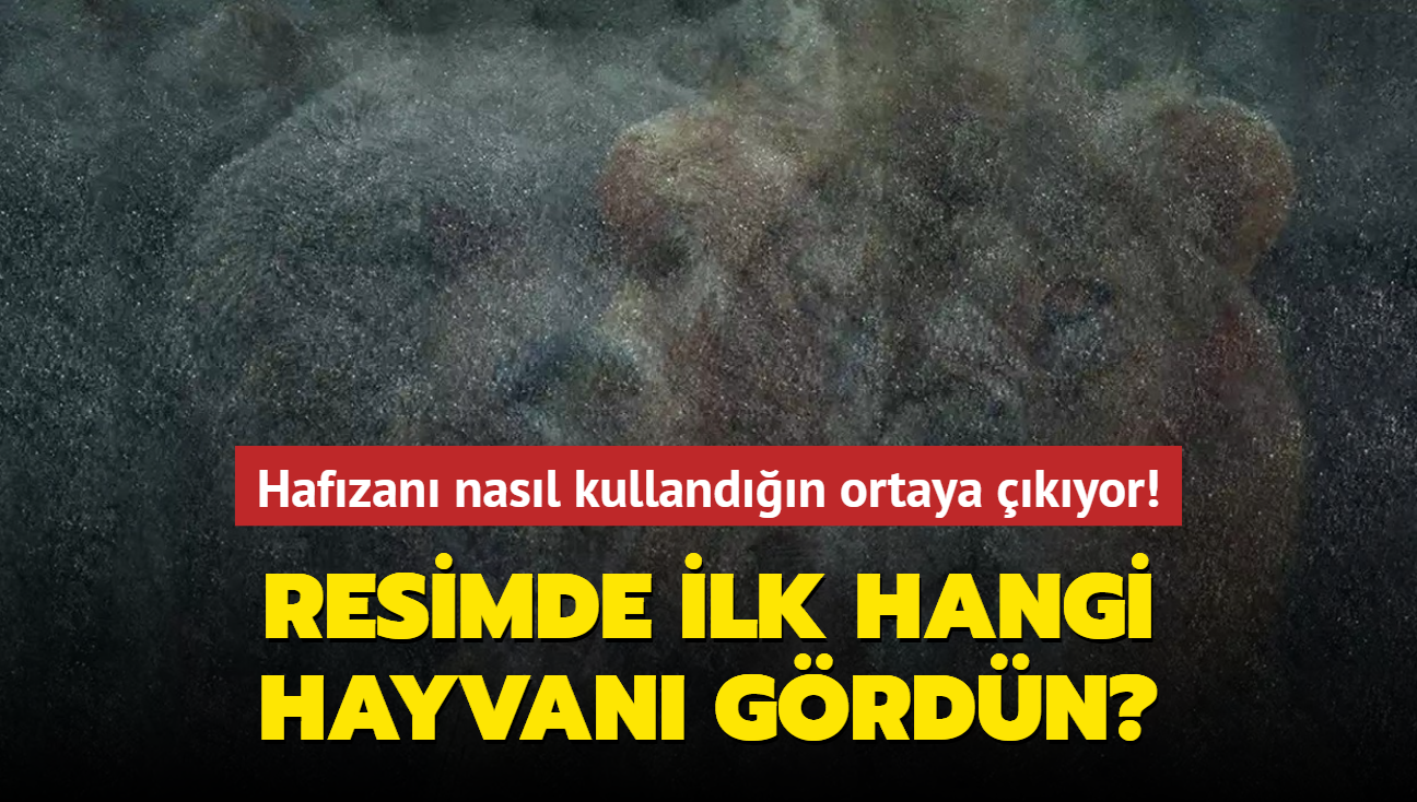 Kiilik testi: Resimde ilk hangi hayvan grdn" Hafzan nasl kullandn ortaya kyor...