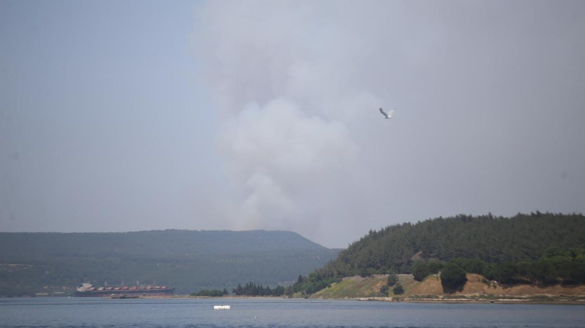 anakkale'de orman yangn: Sndrme almalar sryor