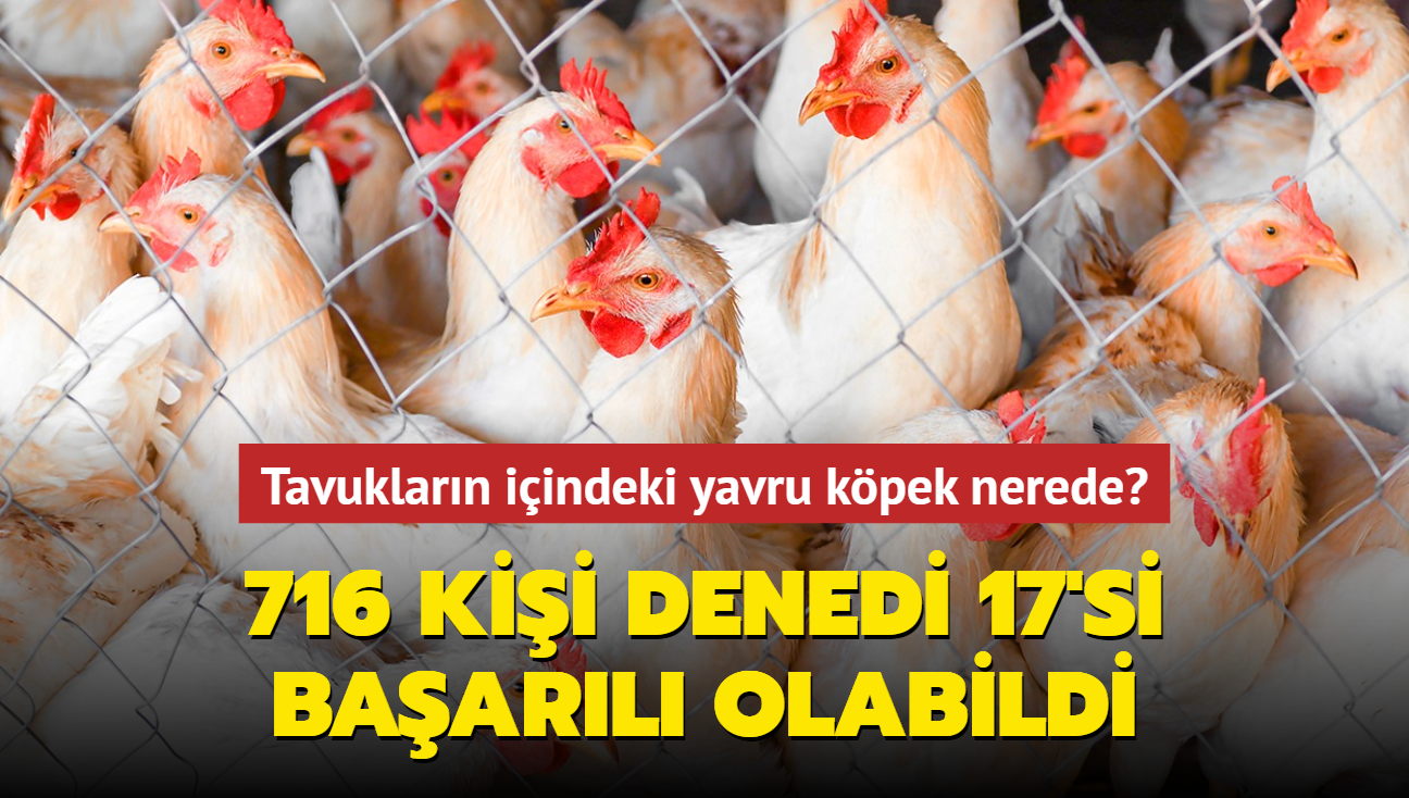 Zeka testi: Tavuklarn iindeki yavru kpek nerede" 716 kii denedi sadece 17'si baarl olabildi...