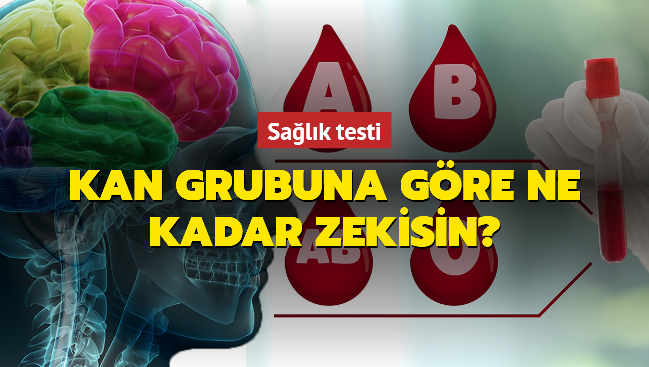 Kiilik testi: Kan grubuna gre ne kadar zekisin" A olanlar inat, 0 olanlar...