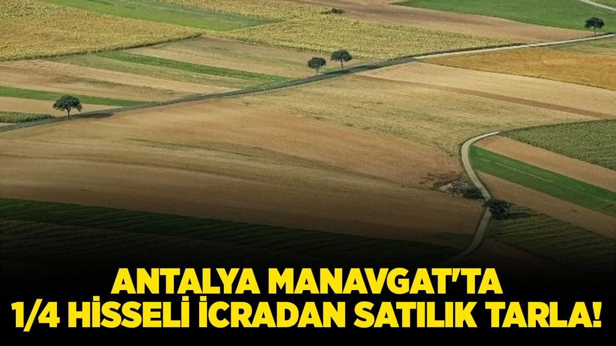 Antalya Manavgat'ta icradan satlk hisseli tarla!