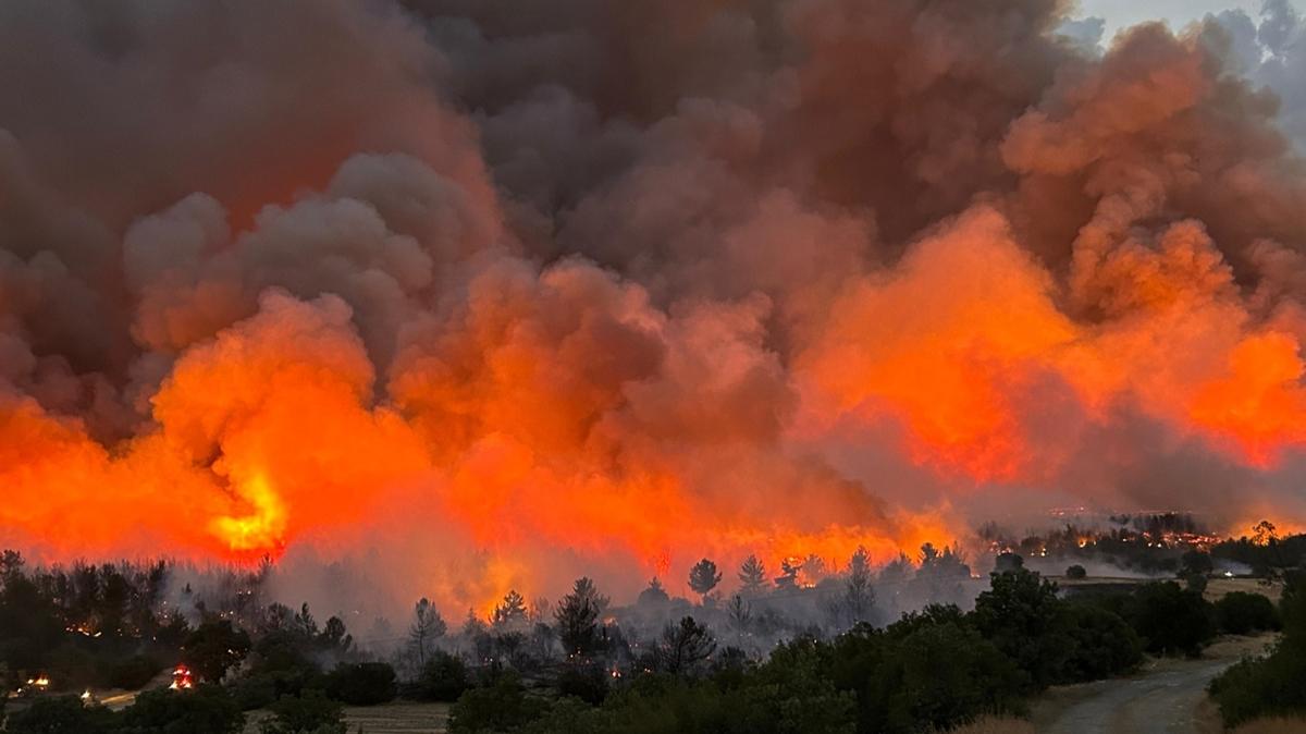 Uak'ta kan orman yangnna ekipler mdahale ediyor
