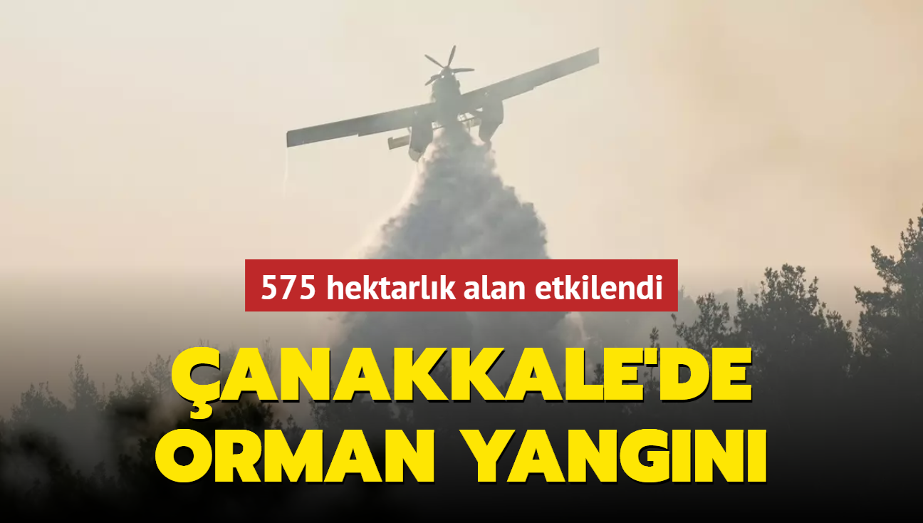 anakkale'de orman yangn... Bakan Yumakl: 575 hektarlk alan etkilendi