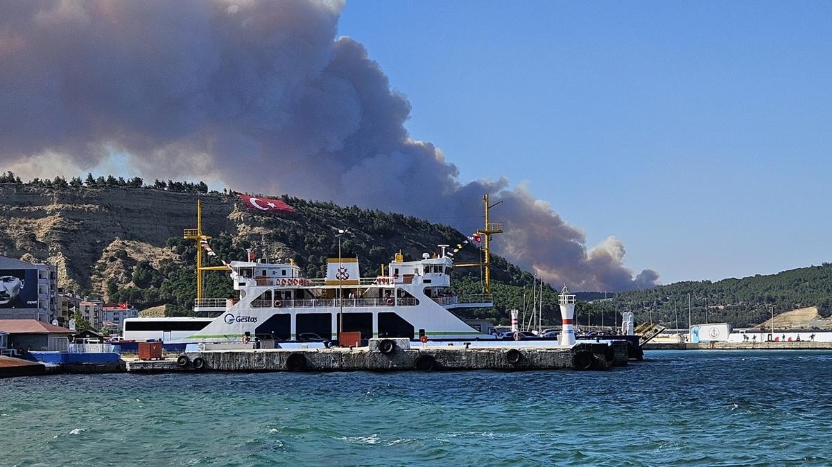 anakkale'de orman yangn! Gemi trafii askya alnd