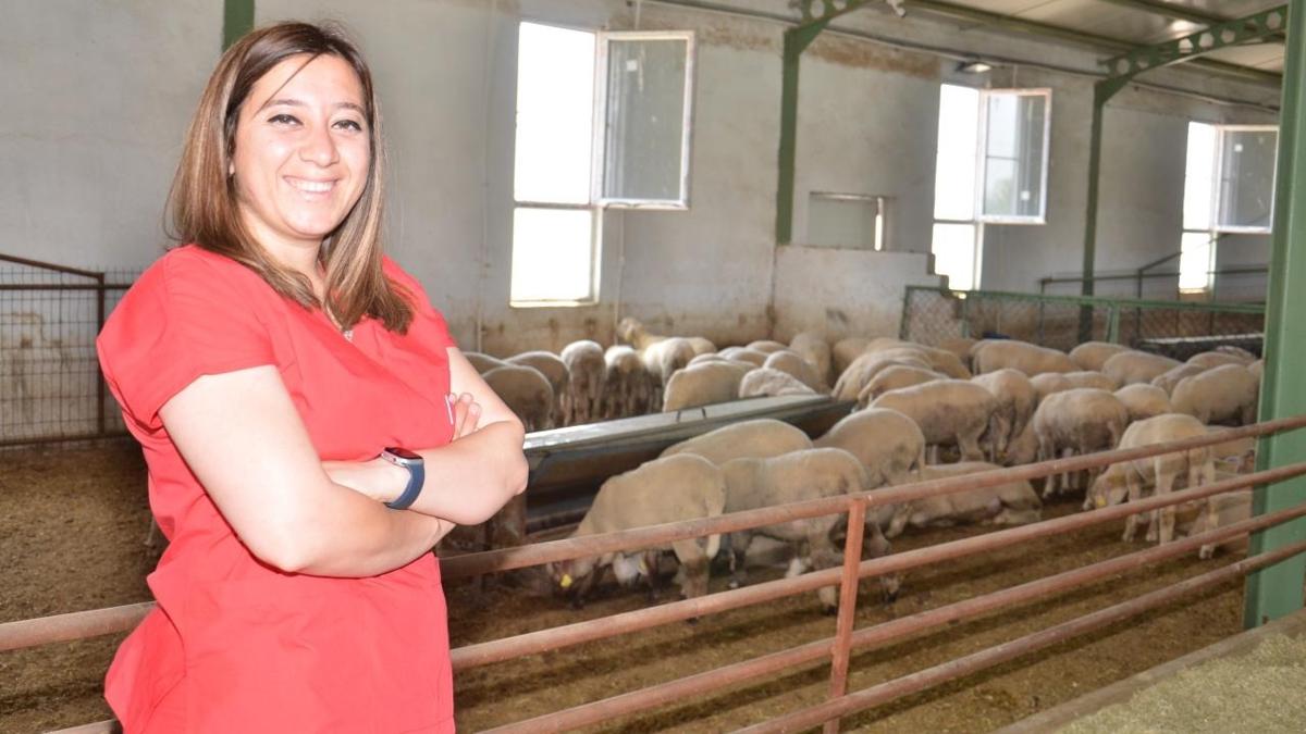 Kadn giriimci devlet desteiyle bin koyunun olduu iftlik kurdu
